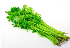 食堂蔬菜芹菜配送