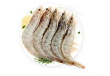 學(xué)校食材海鮮配送