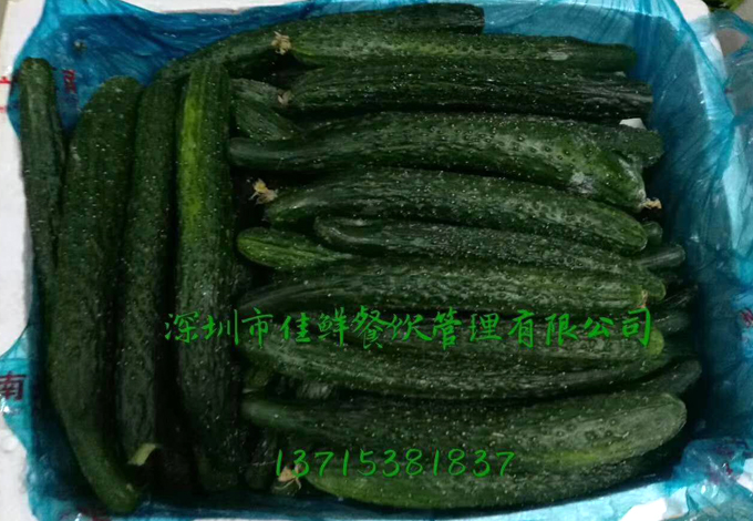 政府蔬菜黃瓜配送 11.jpg