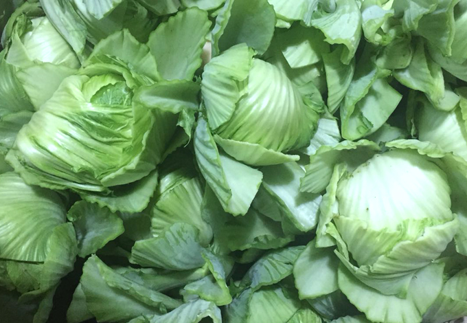 學校食材包菜配送 16.jpg